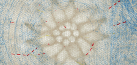 Example image of the edelweiss